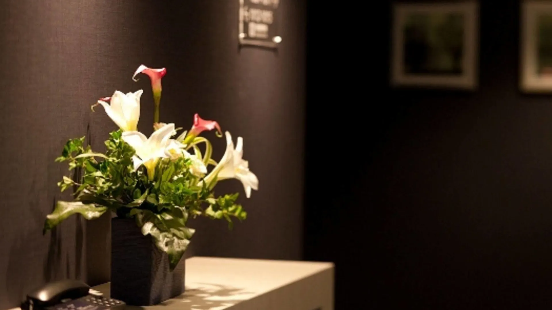 Daiwa Roynet Hotel Tokyo Akabane